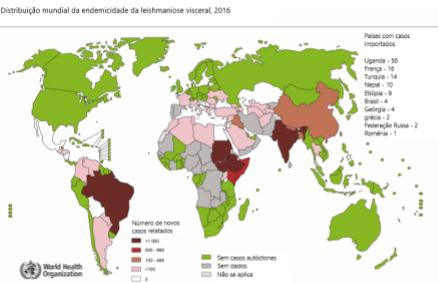 Figura 1. Distribuição mundial da leishmaniose visceral humana, 2016 (Adaptado de WHO, 2019